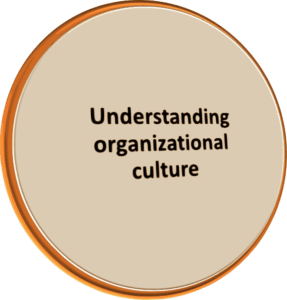 Project Management Office Culture